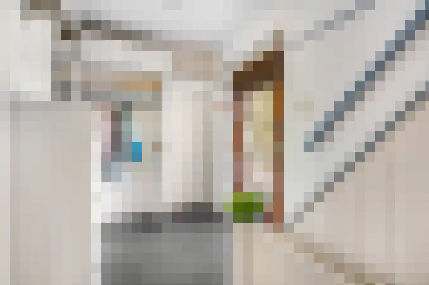 Berkenlaan 3 Ede thumbnail 29