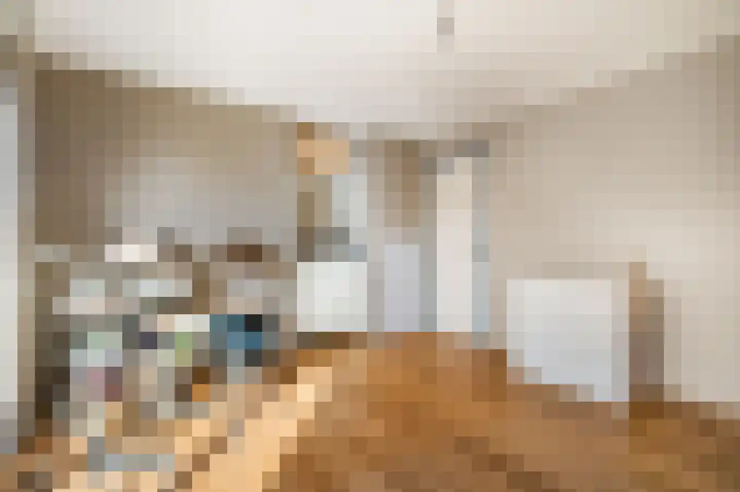 Berkenlaan 3 Ede thumbnail 36