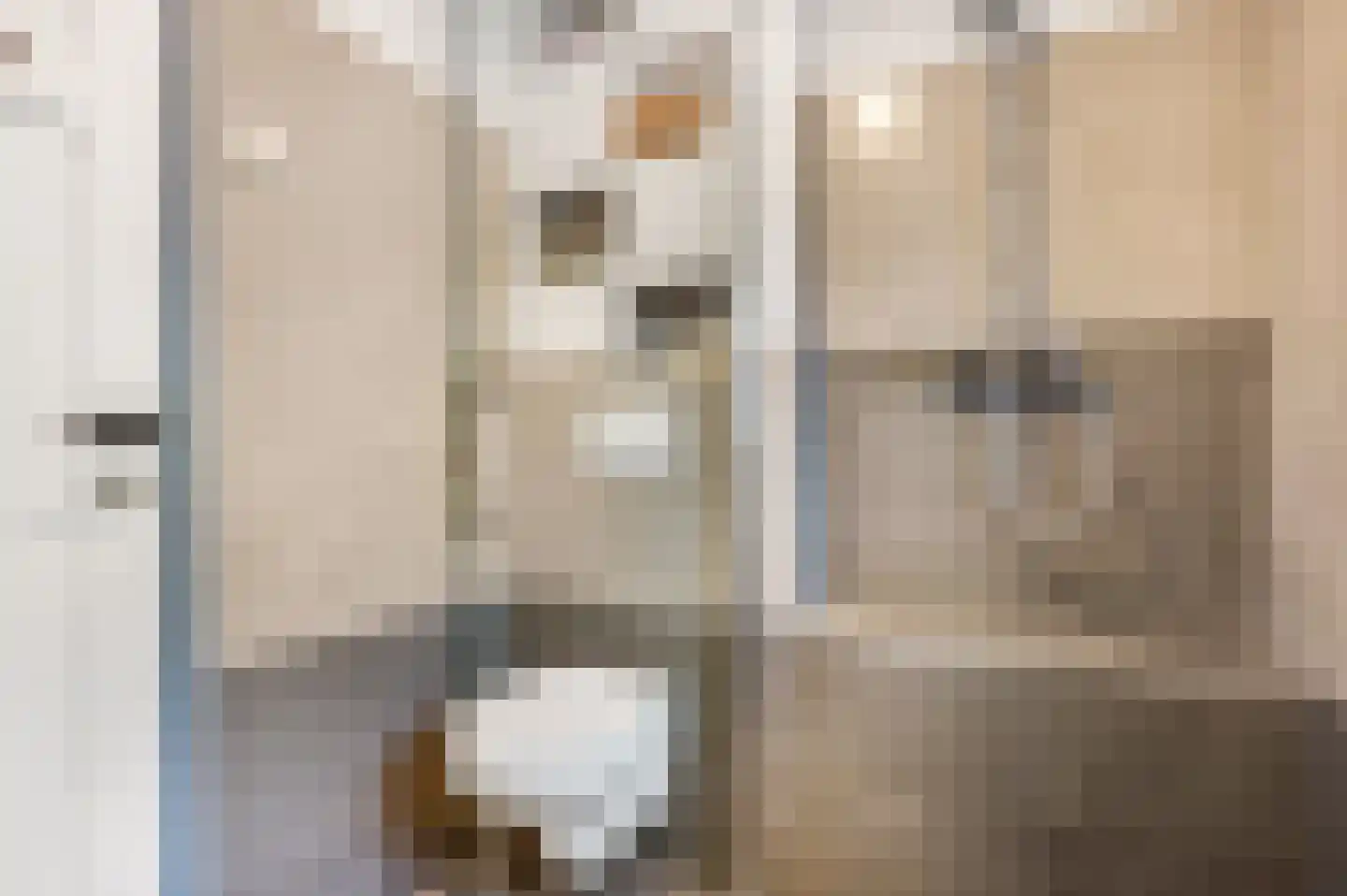 Berkenlaan 3 Ede thumbnail 41