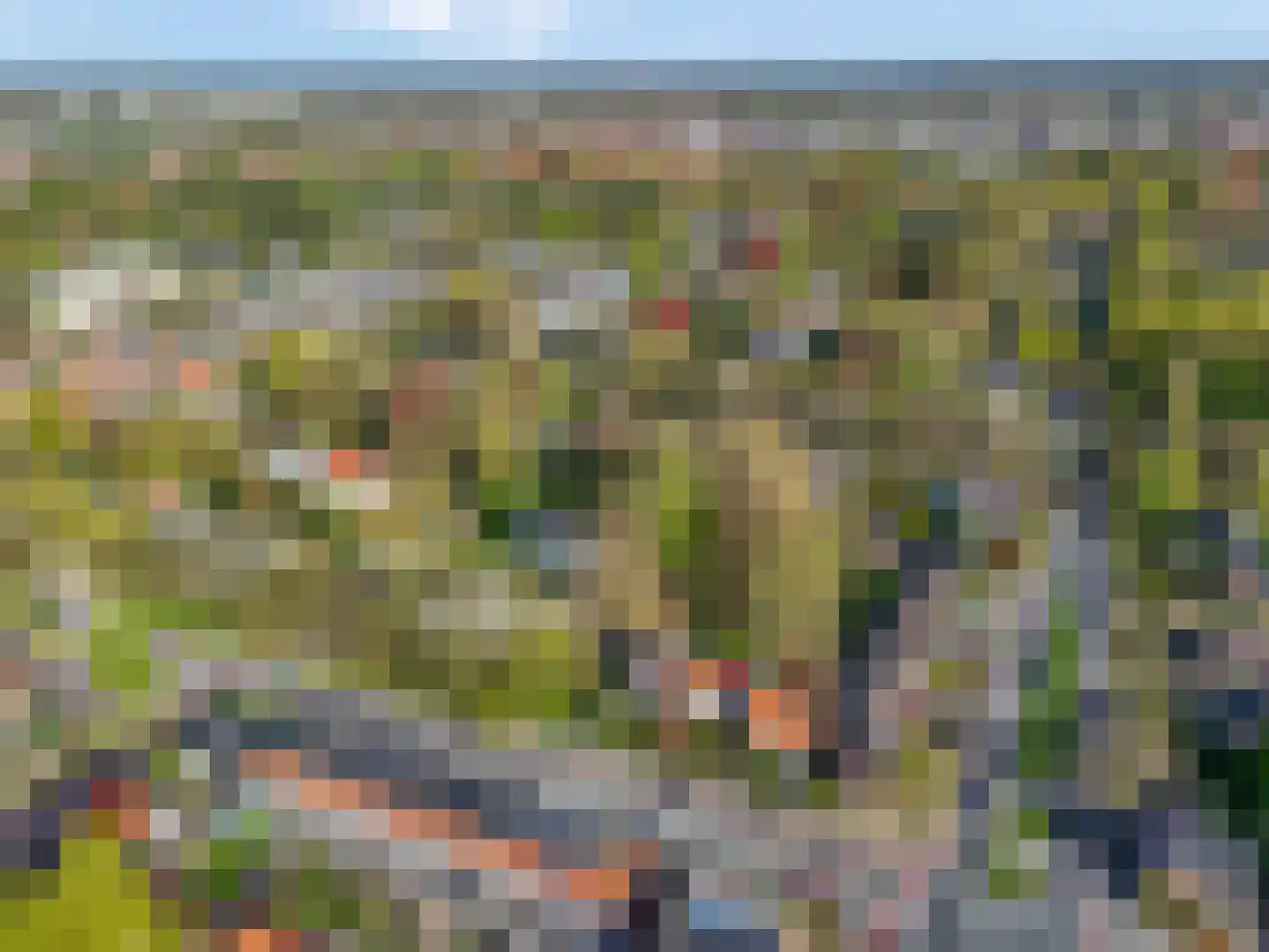 Berkenlaan 3 Ede thumbnail 65