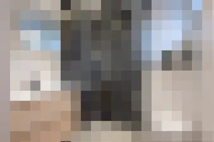 Berkenlaan 3 Geleen thumbnail 14