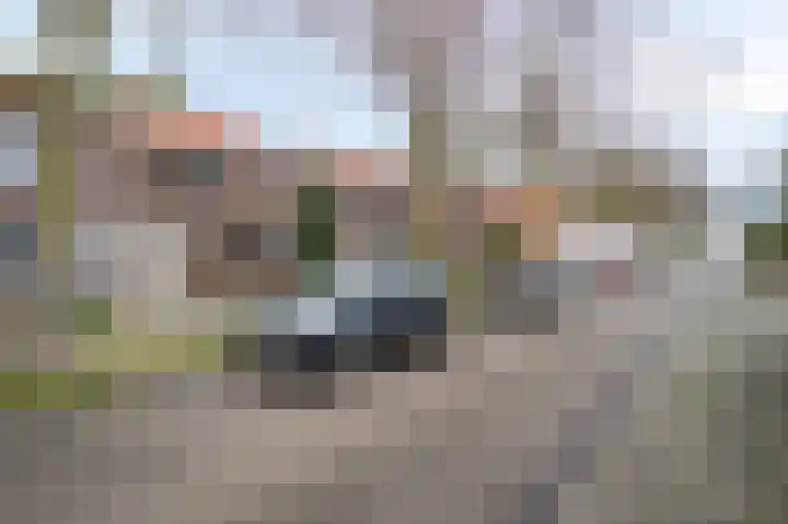 Berkenlaan 3 Geleen foto 2