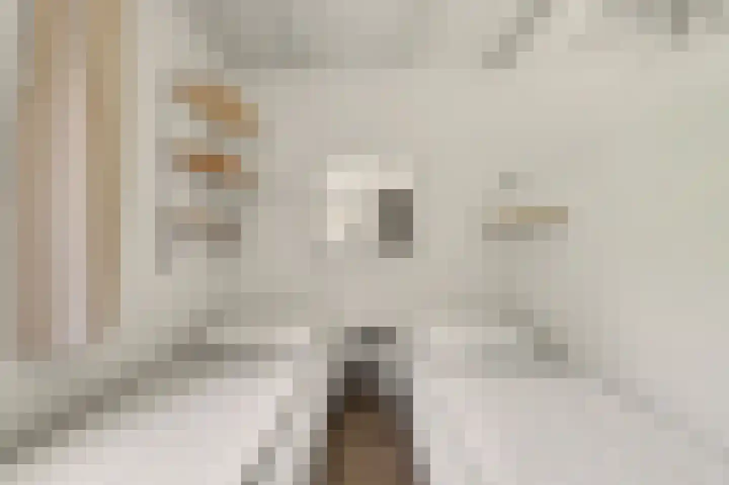 Berkenlaan 3 Kamperland thumbnail 13