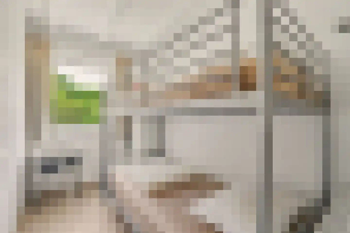 Berkenlaan 3 Kamperland thumbnail 14