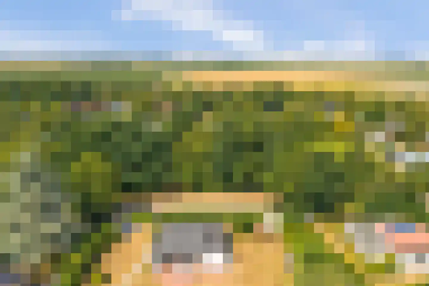 Berkenlaan 3 Kamperland thumbnail 23