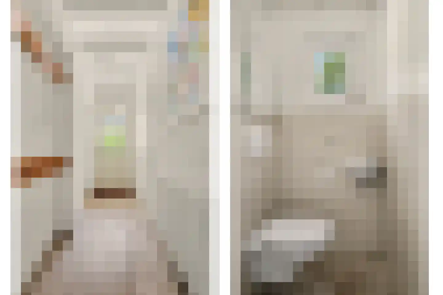 Berkenlaan 3 Kamperland thumbnail 6
