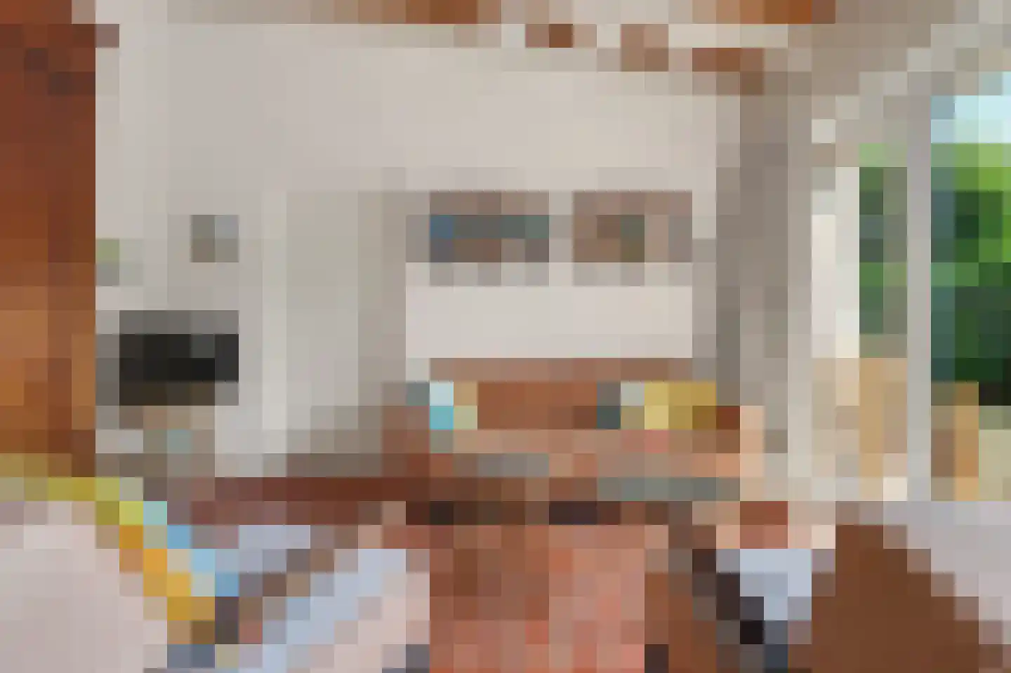 Berkenlaan 3 Kamperland thumbnail 7