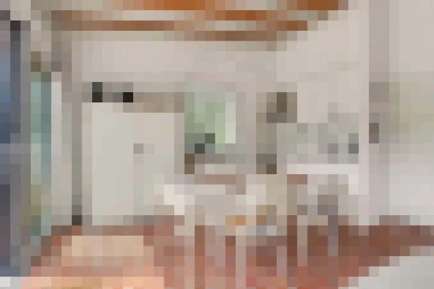 Berkenlaan 3 Kamperland thumbnail 9