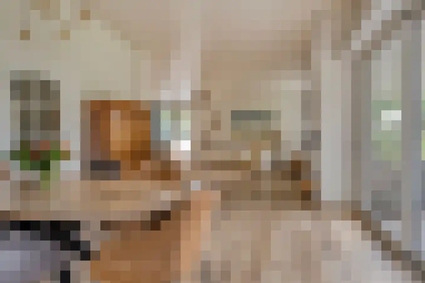 Berkenlaan 3 Oostkapelle thumbnail 12