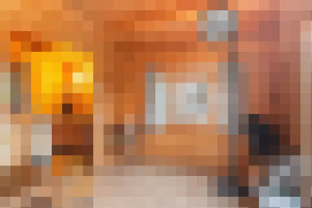 Berkenlaan 3 Oostkapelle thumbnail 29
