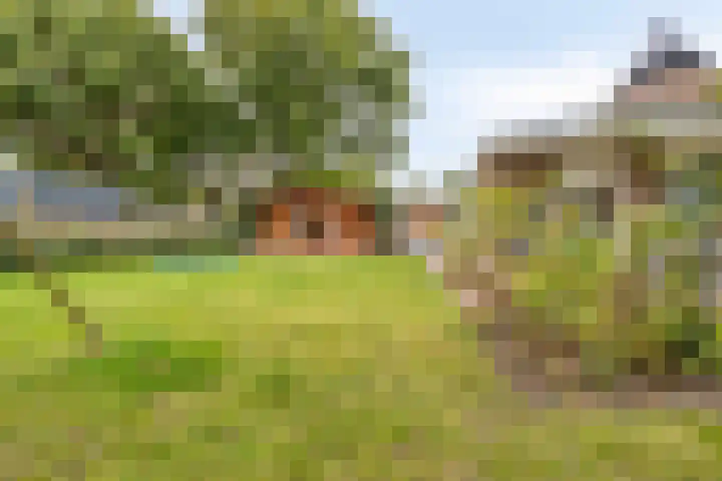 Berkenlaan 3 Oostkapelle thumbnail 33