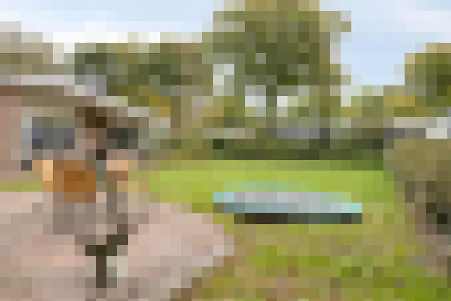 Berkenlaan 3 Oostkapelle thumbnail 37