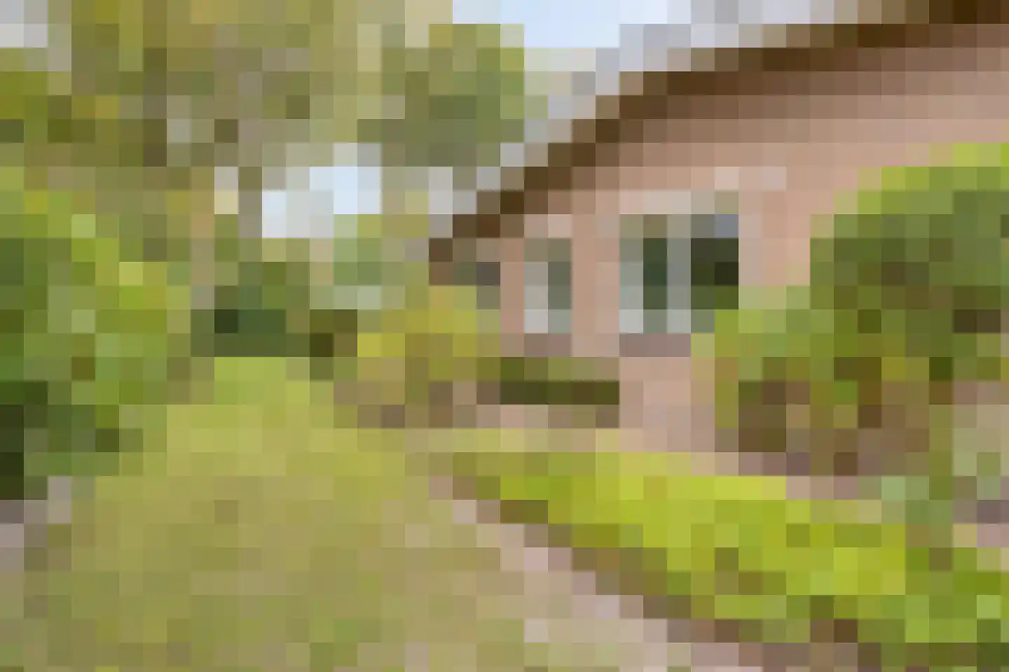 Berkenlaan 3 Oostkapelle thumbnail 40