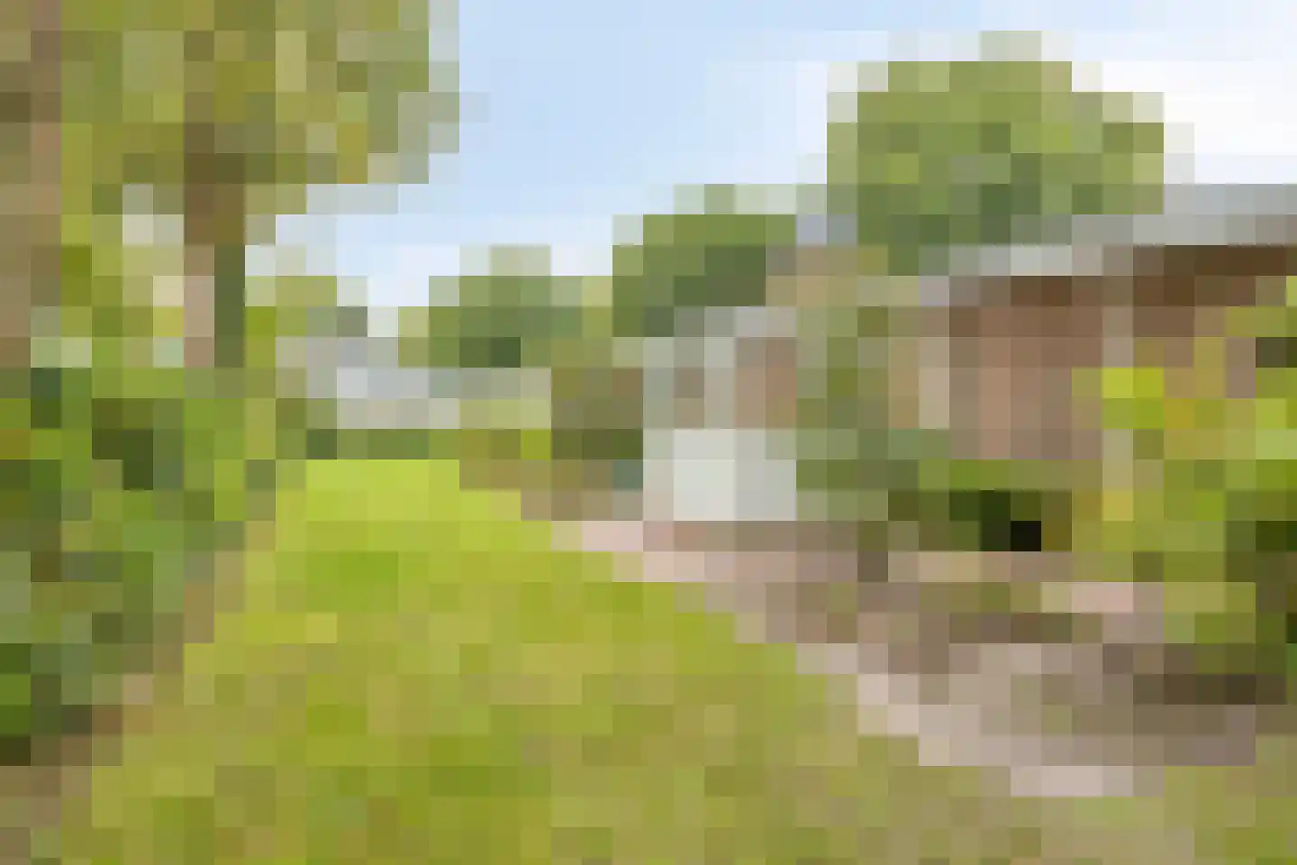 Berkenlaan 3 Oostkapelle thumbnail 41