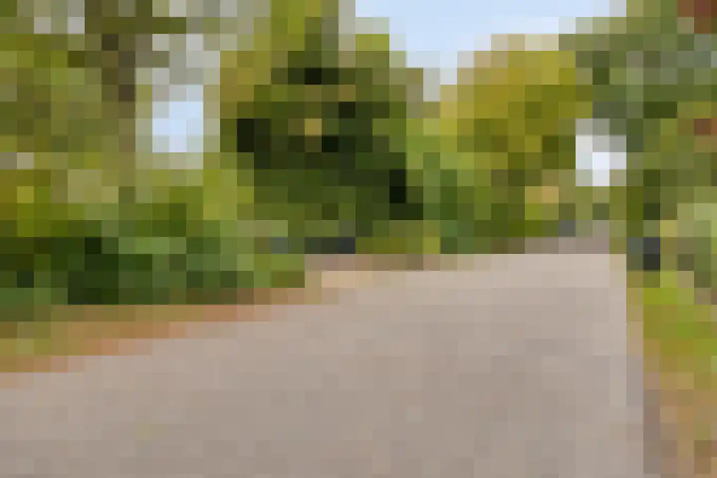 Berkenlaan 3 Oostkapelle thumbnail 43