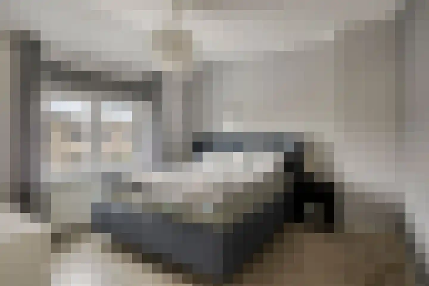 Berkenlaan 3 Schiedam thumbnail 10