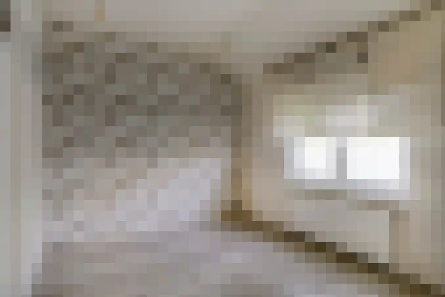 Berkenlaan 3 Schiedam thumbnail 13