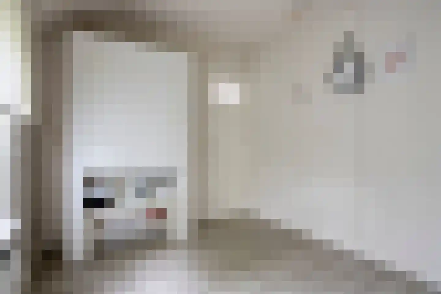 Berkenlaan 3 Schiedam thumbnail 14