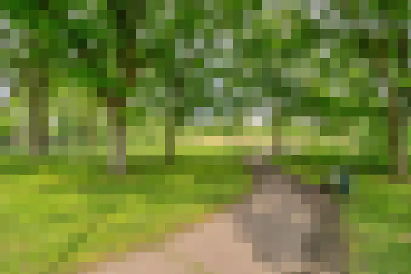 Berkenlaan 3 Schiedam thumbnail 25
