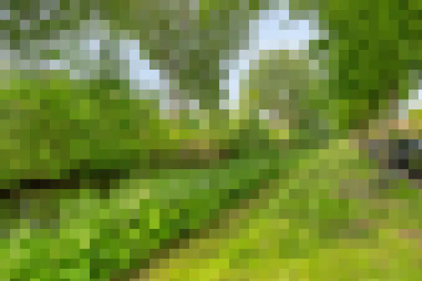 Berkenlaan 3 Schiedam thumbnail 26