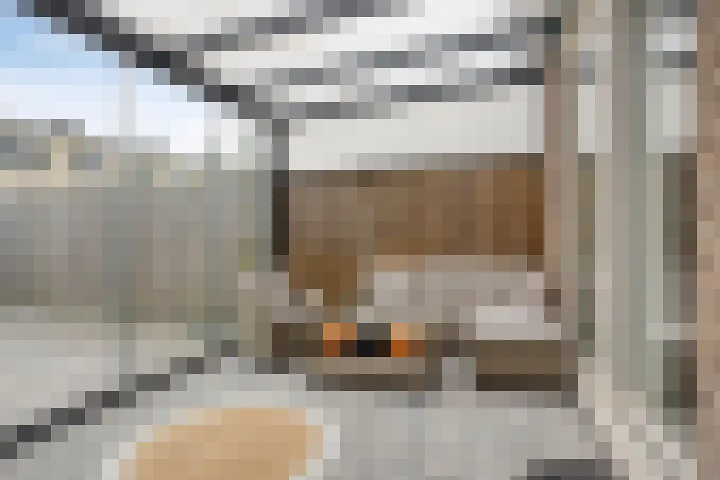 Berkenlaan 3 Schiedam thumbnail 4