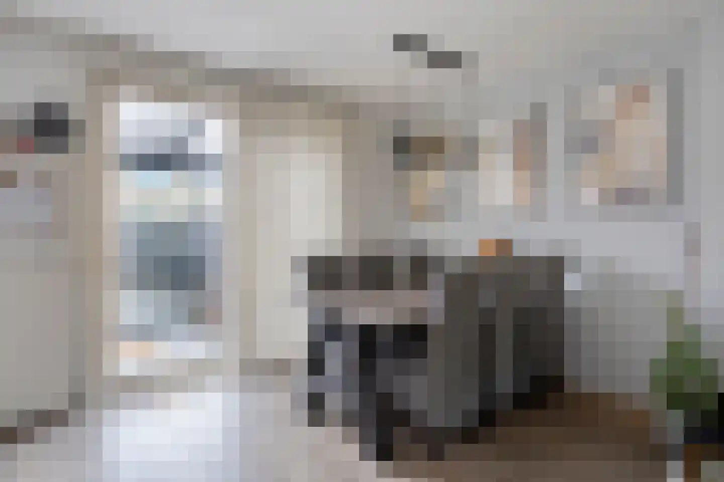 Berkenlaan 3 Schiedam thumbnail 6