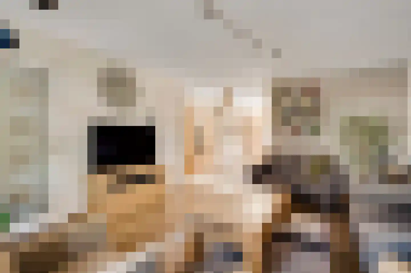 Berkenlaan 30 Spaubeek thumbnail 10