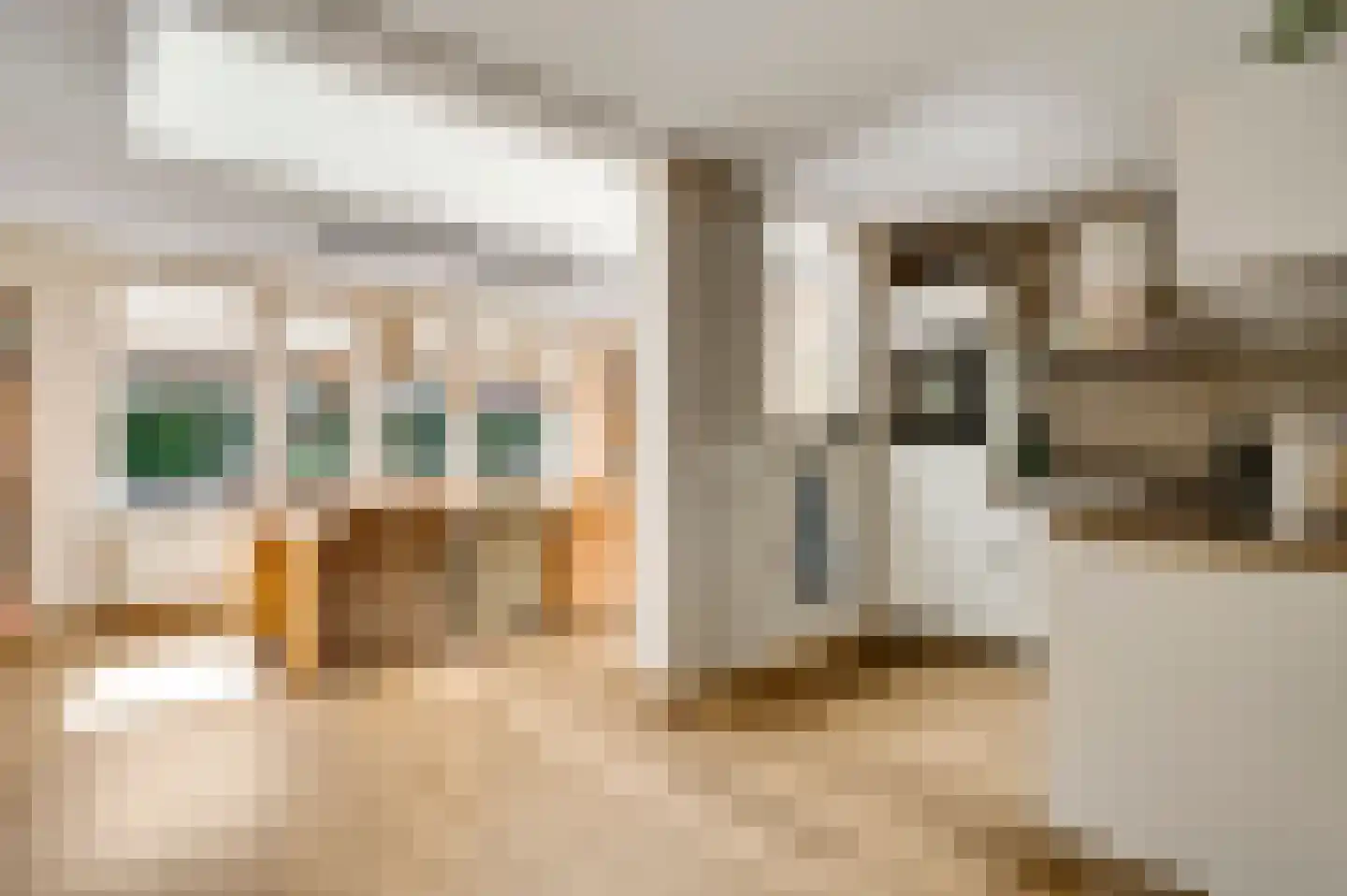 Berkenlaan 30 Spaubeek thumbnail 11