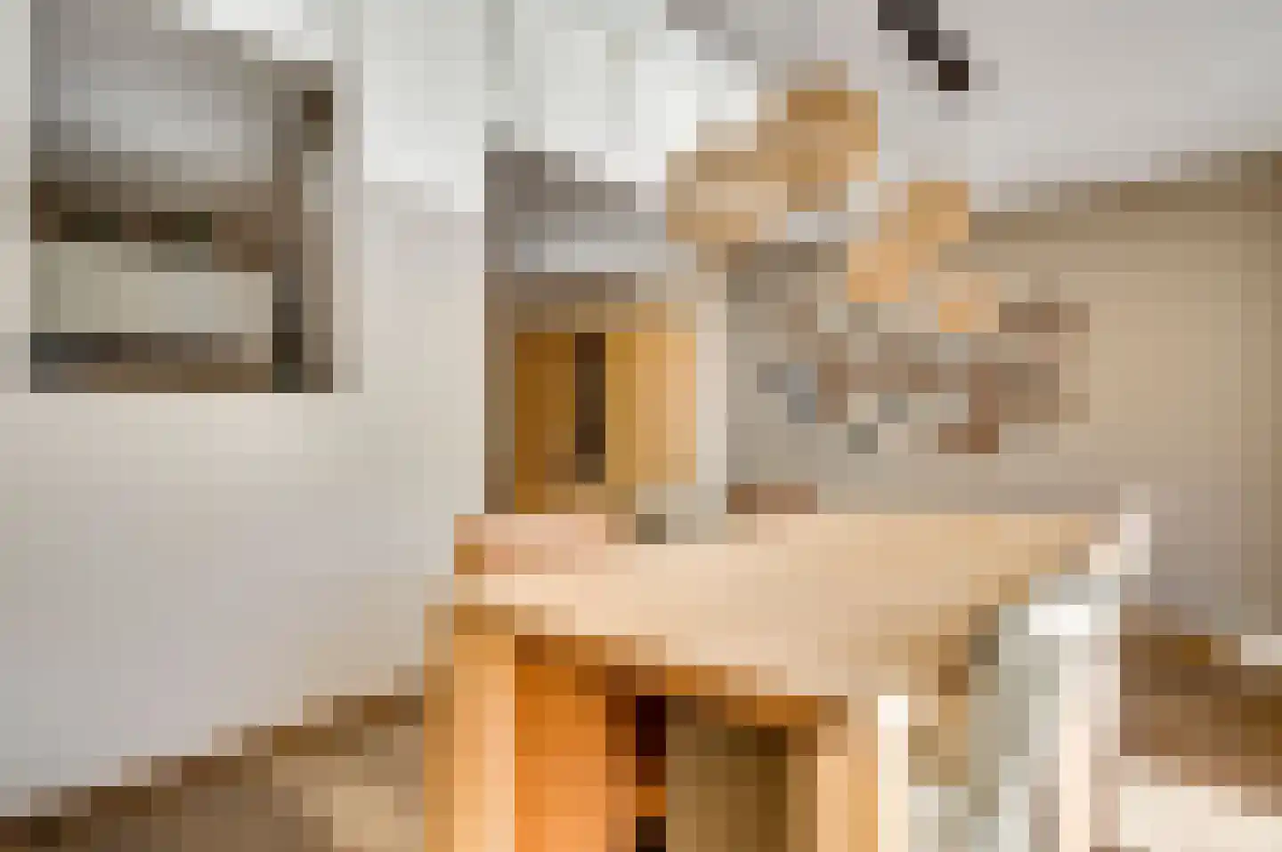 Berkenlaan 30 Spaubeek thumbnail 13