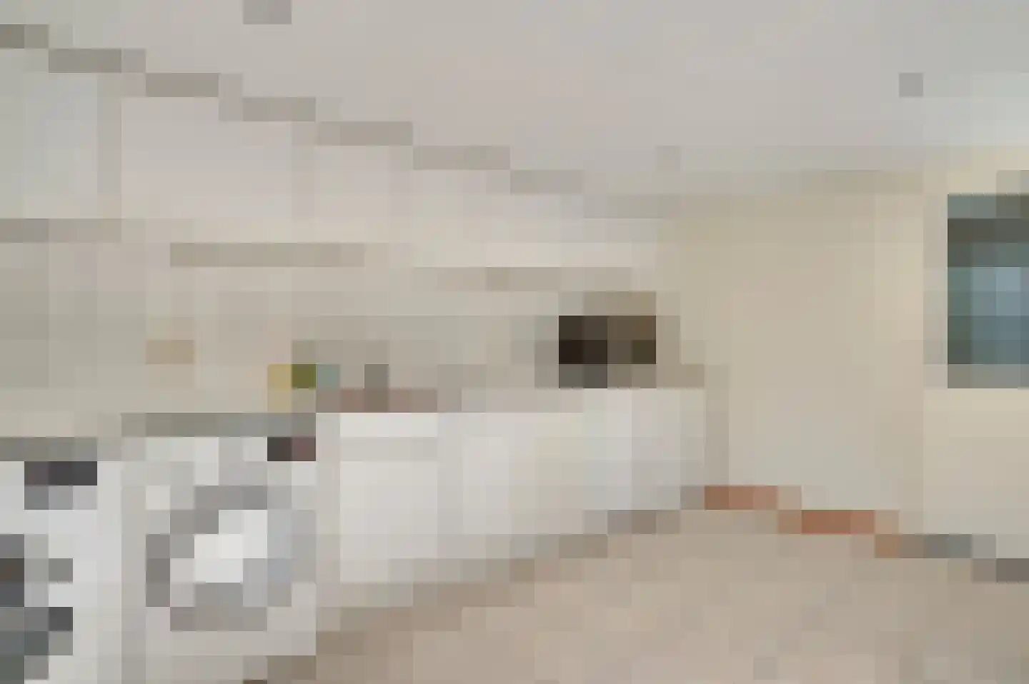 Berkenlaan 30 Spaubeek thumbnail 17