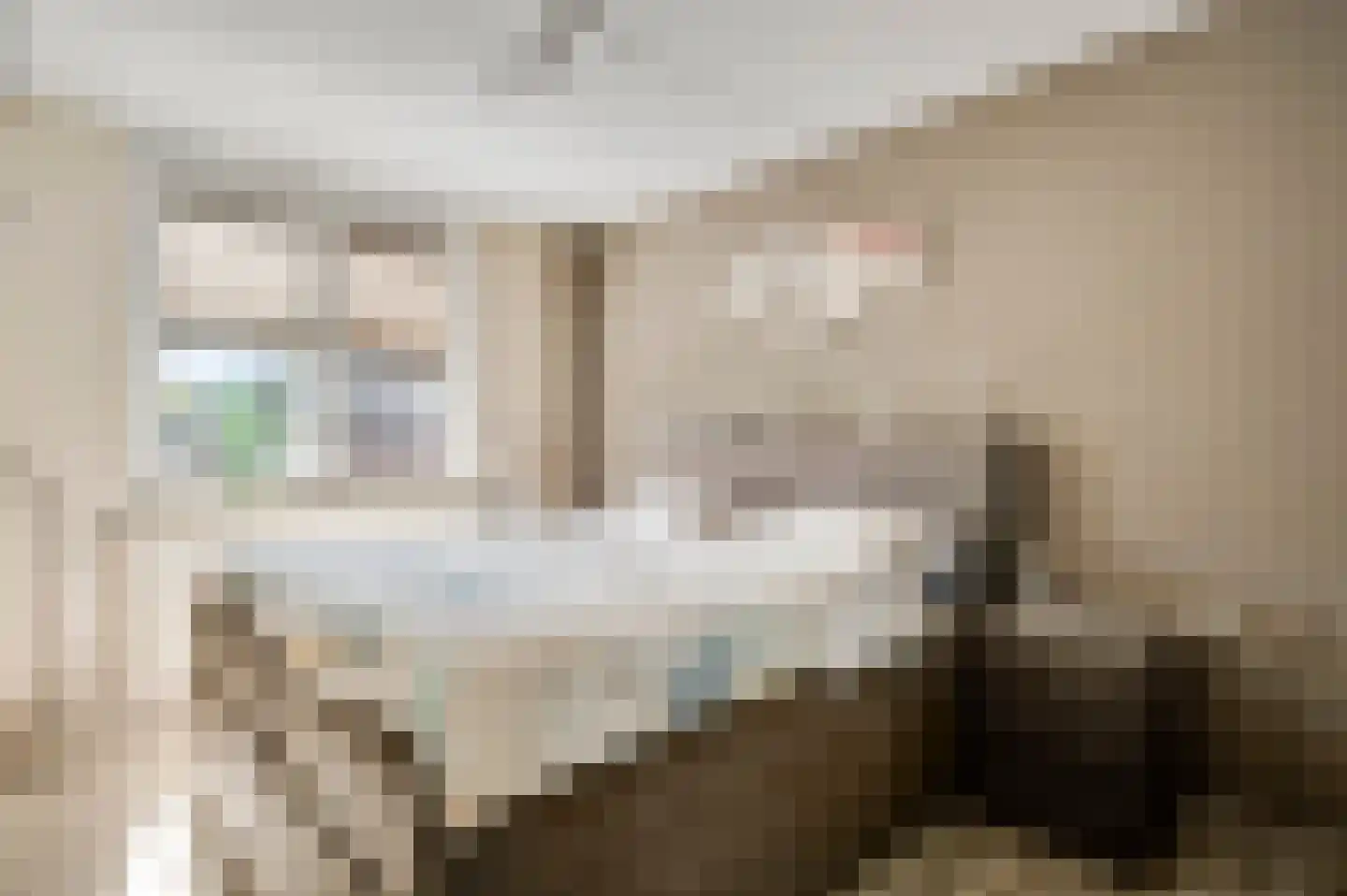 Berkenlaan 30 Spaubeek thumbnail 26