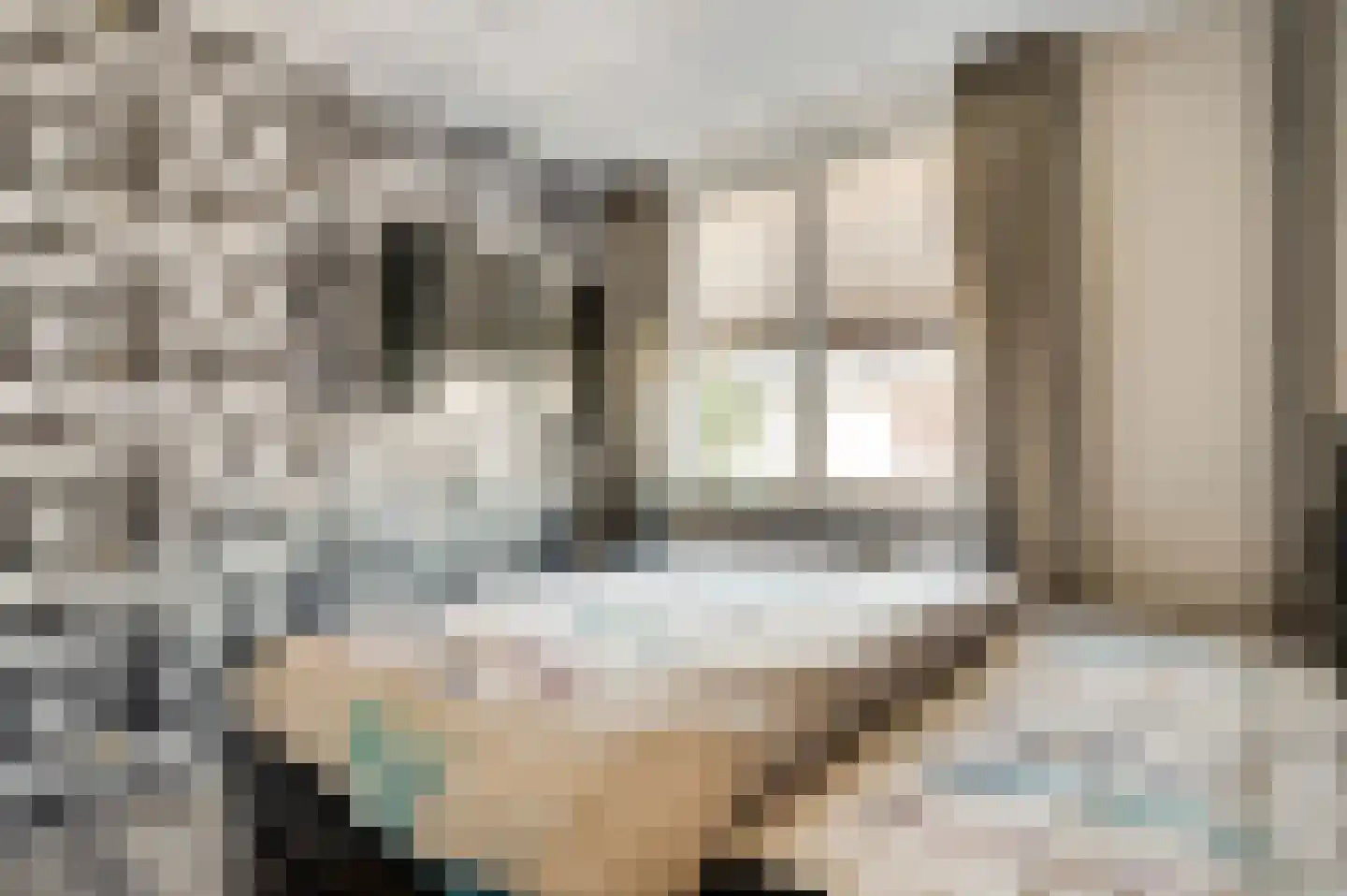 Berkenlaan 30 Spaubeek thumbnail 28