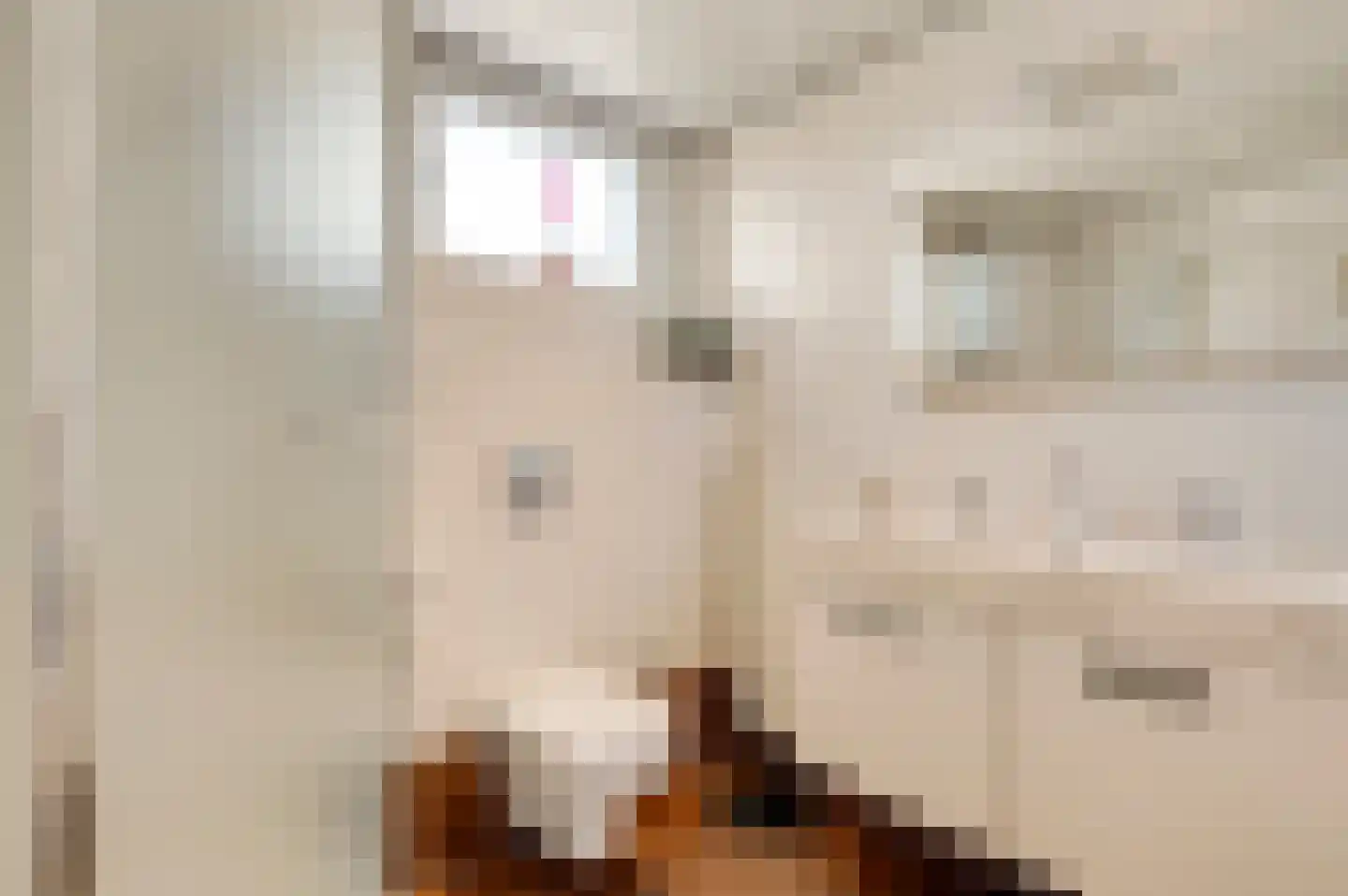 Berkenlaan 30 Spaubeek thumbnail 31