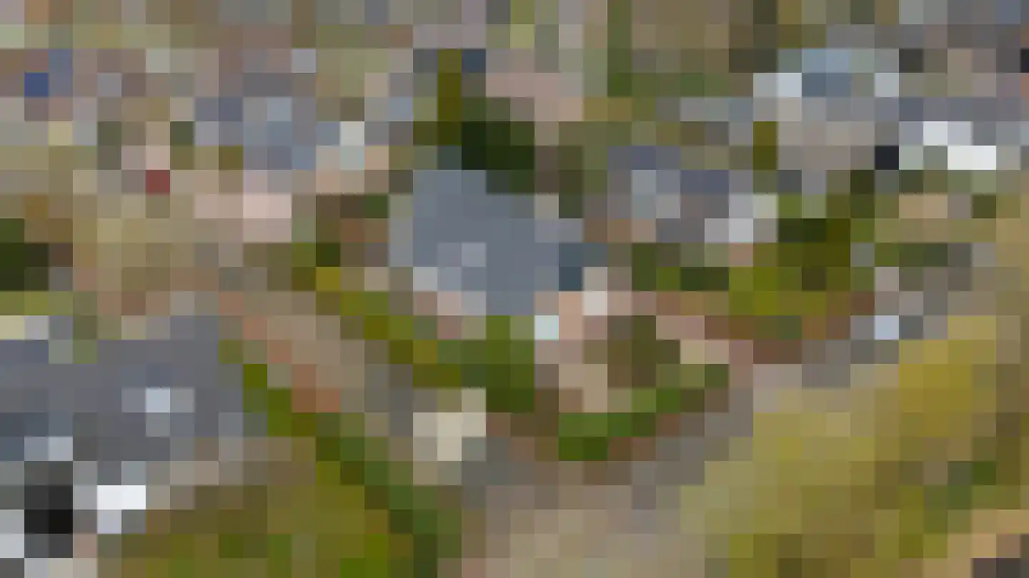 Berkenlaan 31 Barneveld thumbnail 101