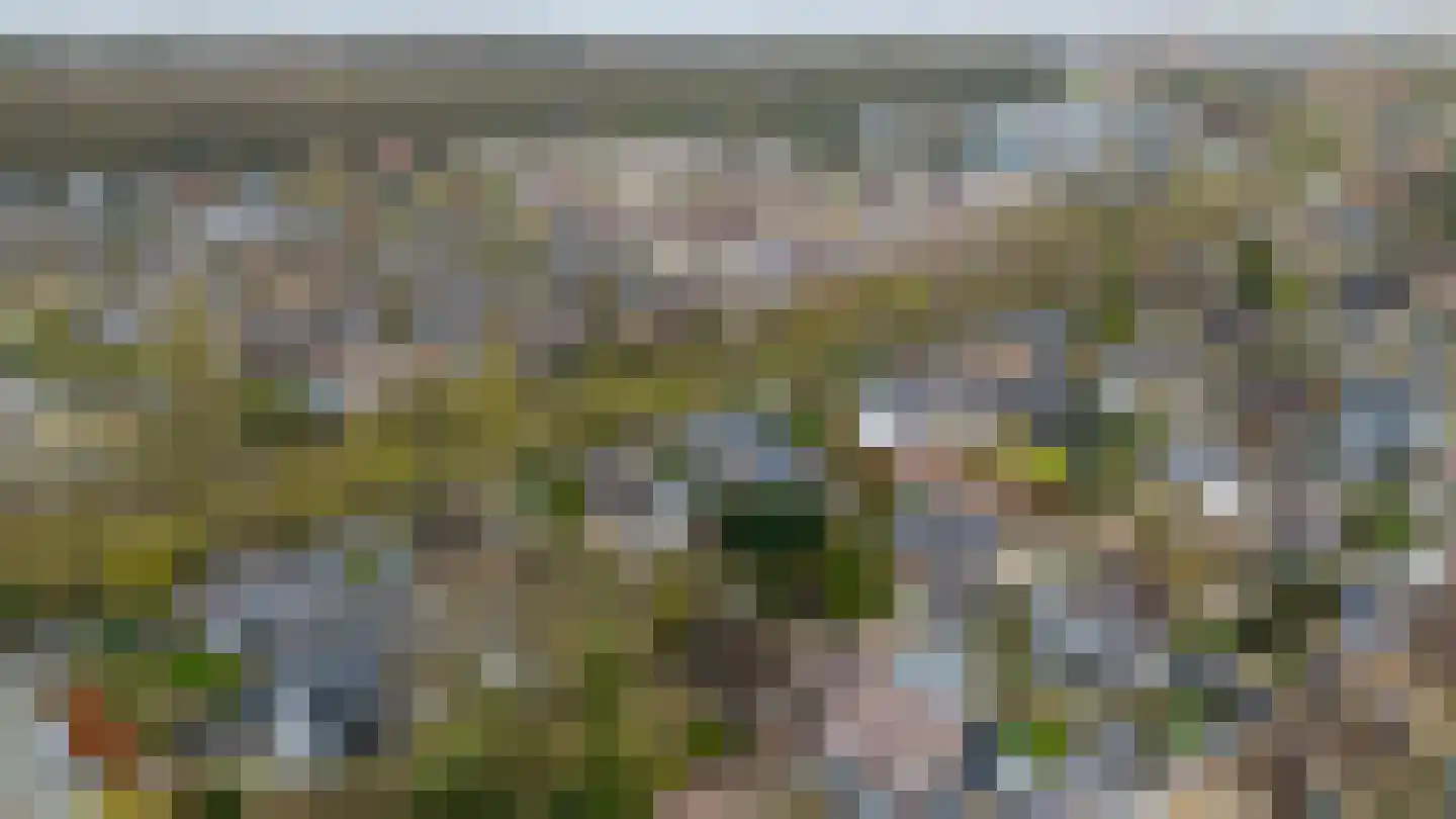 Berkenlaan 31 Barneveld thumbnail 102