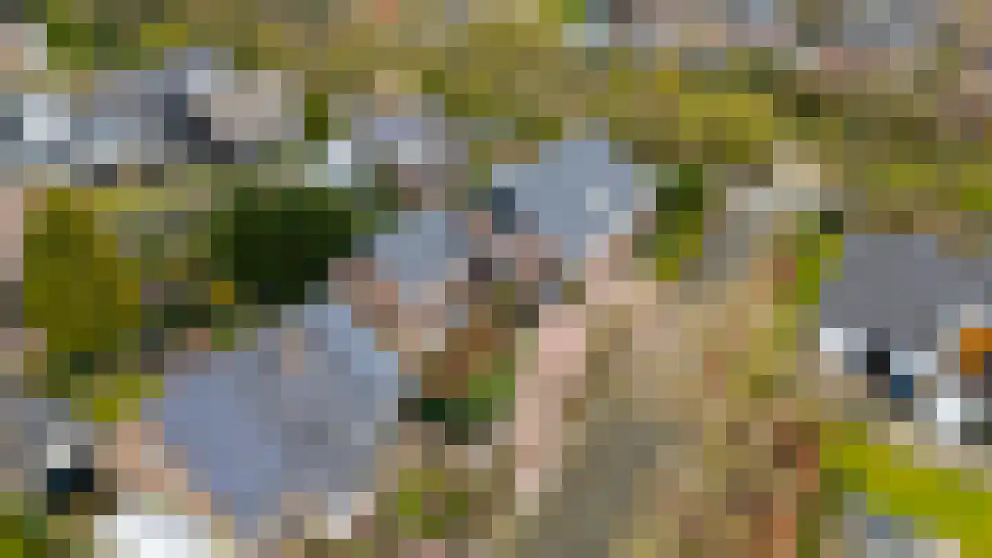 Berkenlaan 31 Barneveld thumbnail 103