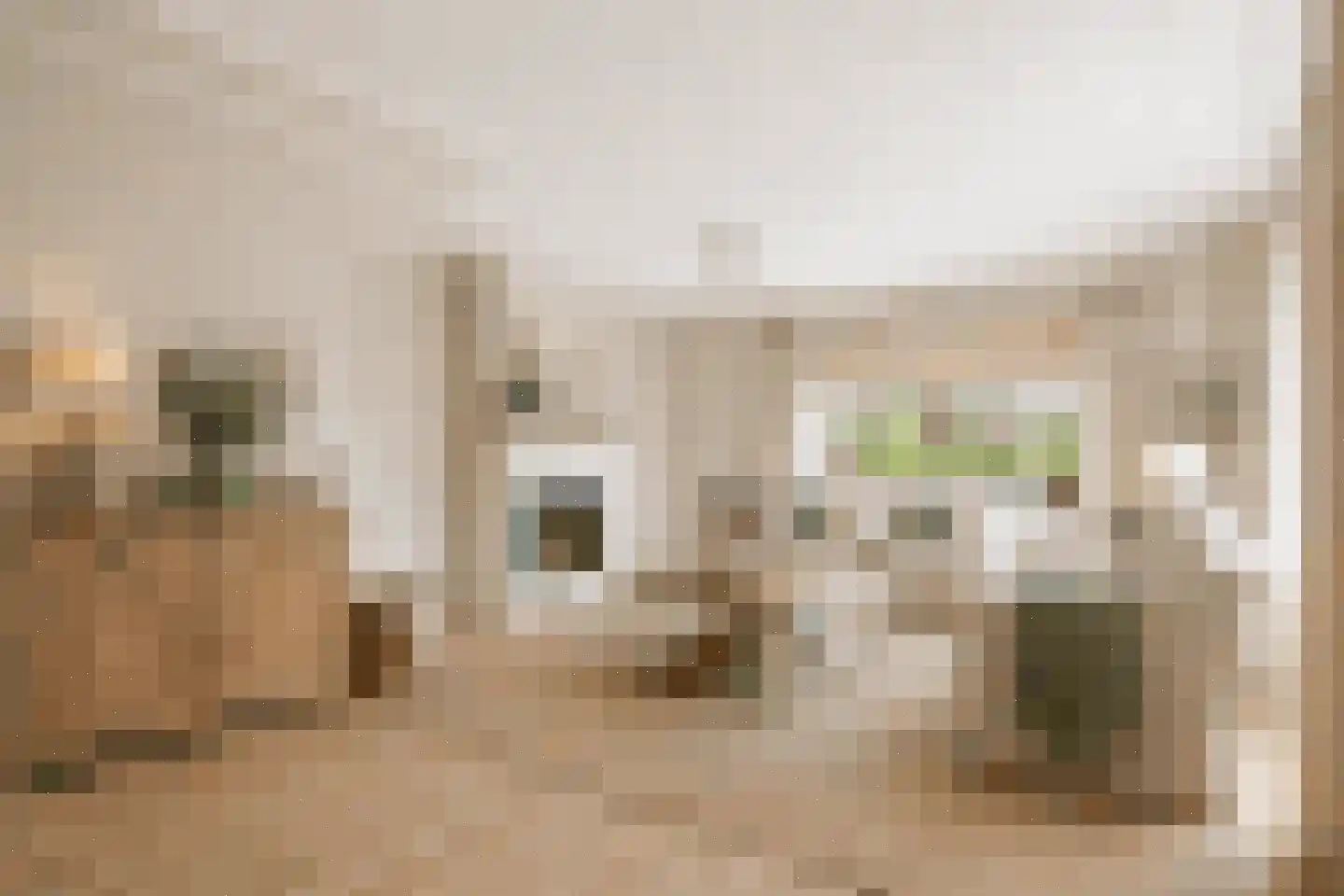 Berkenlaan 31 Barneveld thumbnail 16