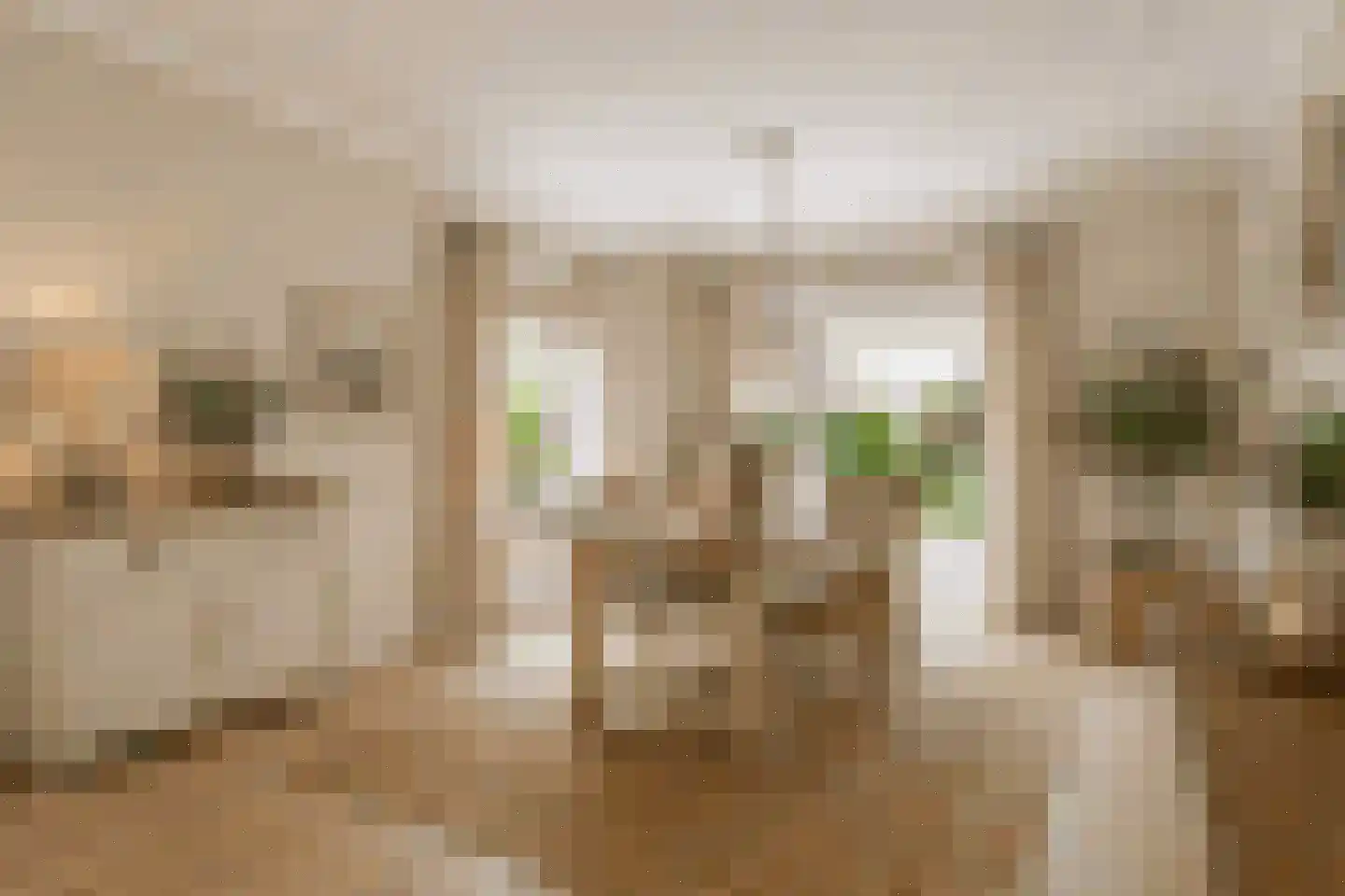 Berkenlaan 31 Barneveld thumbnail 19