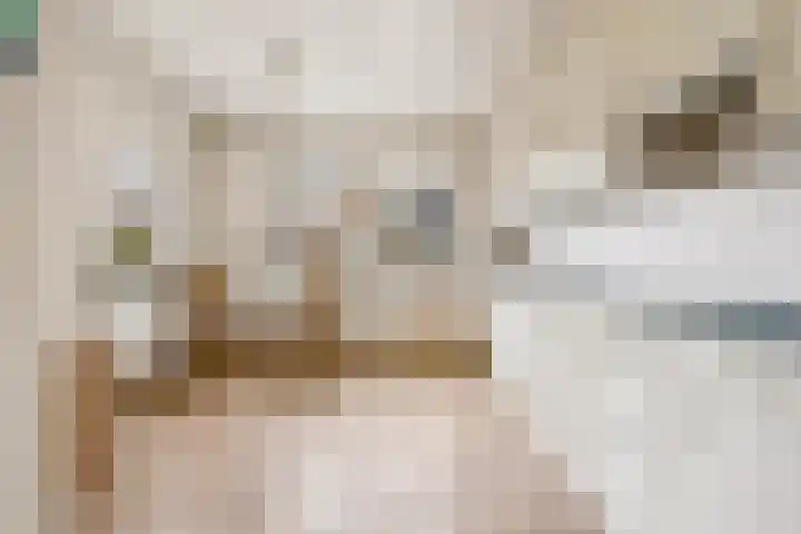 Berkenlaan 31 Barneveld thumbnail 19