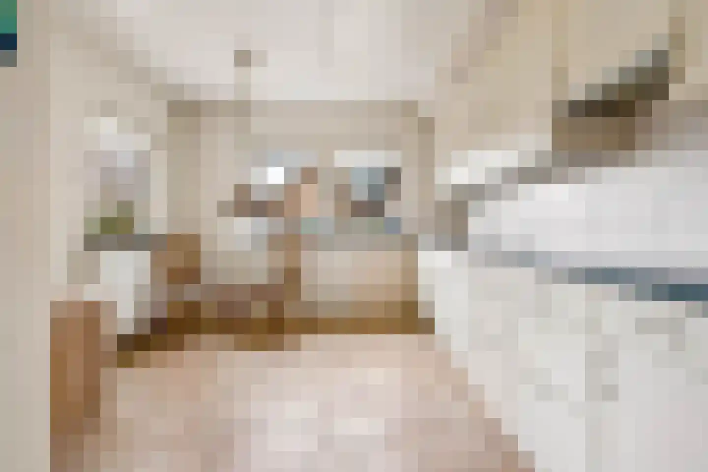 Berkenlaan 31 Barneveld thumbnail 21