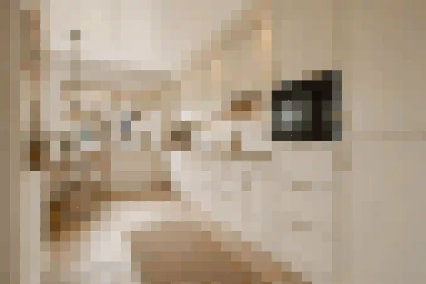 Berkenlaan 31 Barneveld thumbnail 24