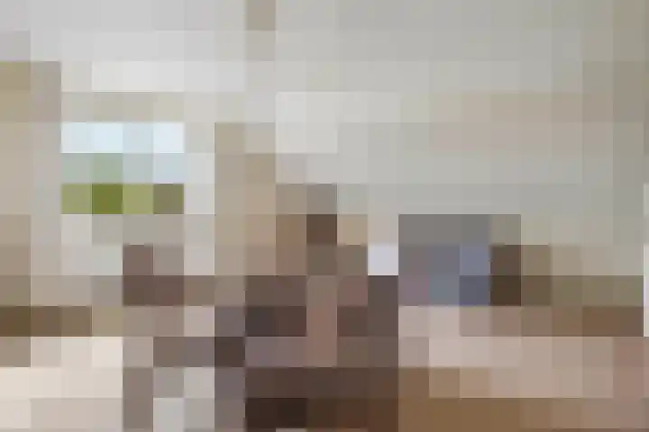 Berkenlaan 31 Barneveld thumbnail 31