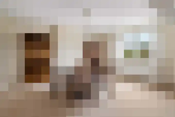 Berkenlaan 31 Barneveld thumbnail 32