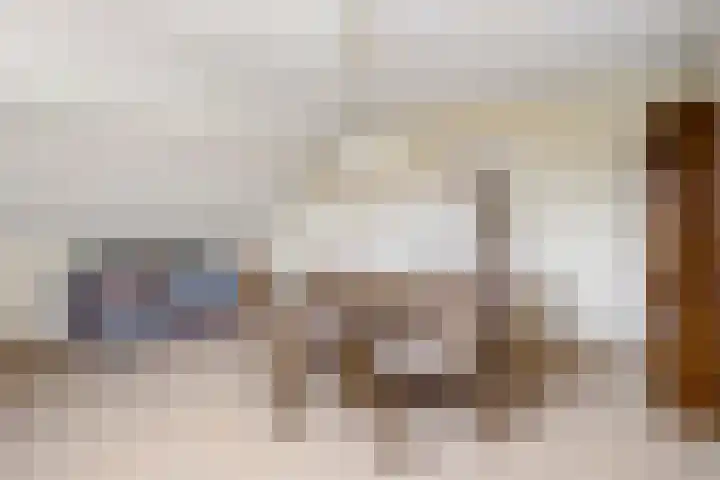Berkenlaan 31 Barneveld thumbnail 34