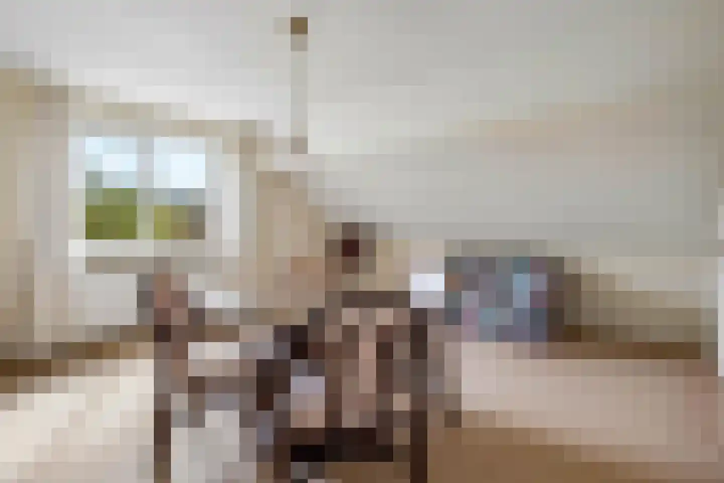 Berkenlaan 31 Barneveld thumbnail 35