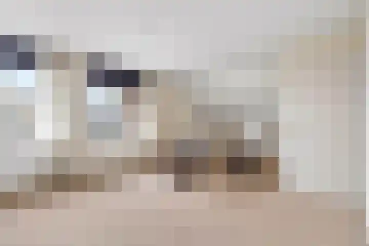 Berkenlaan 31 Barneveld thumbnail 38