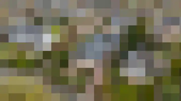 Berkenlaan 31 Barneveld thumbnail 4