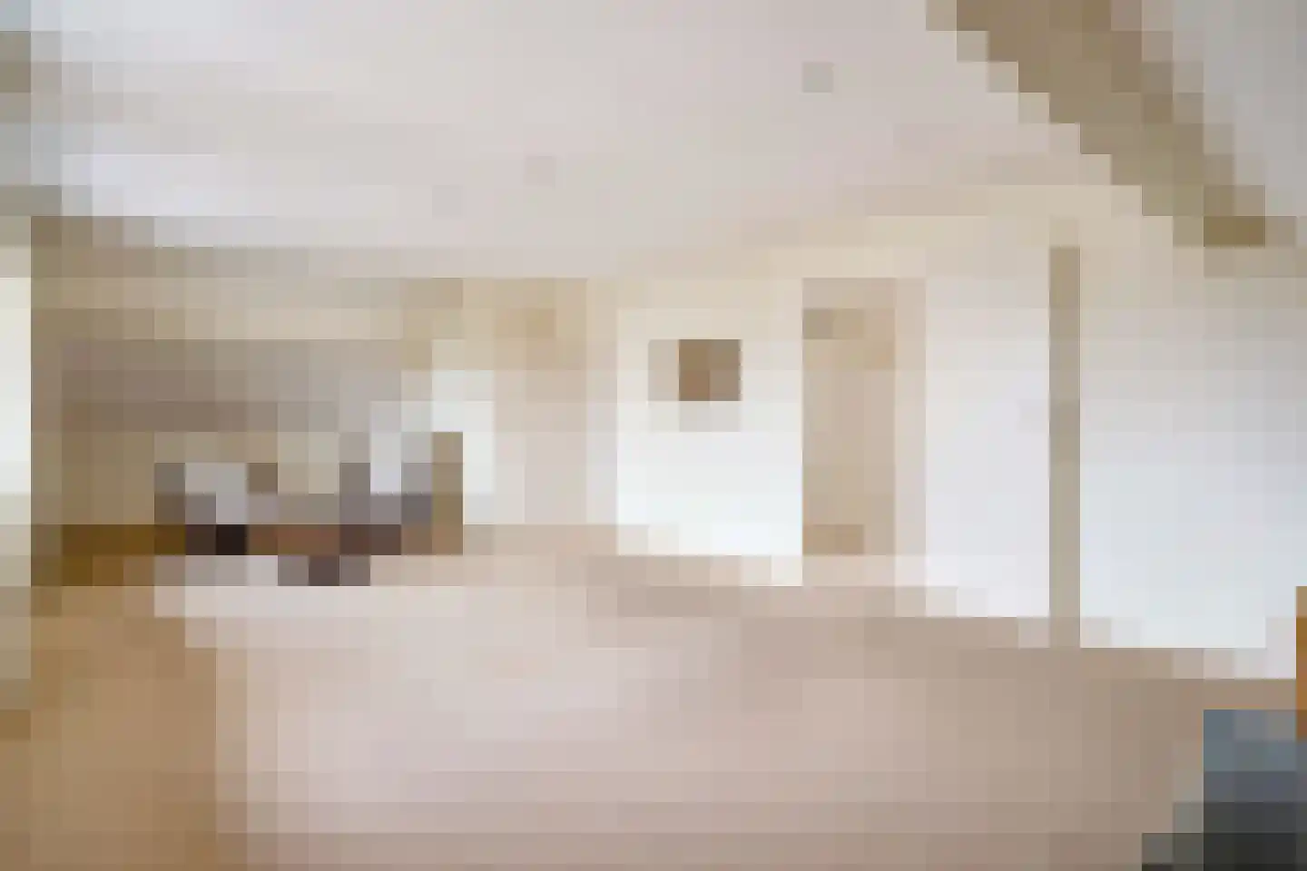 Berkenlaan 31 Barneveld thumbnail 47