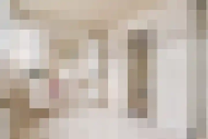 Berkenlaan 31 Barneveld thumbnail 48