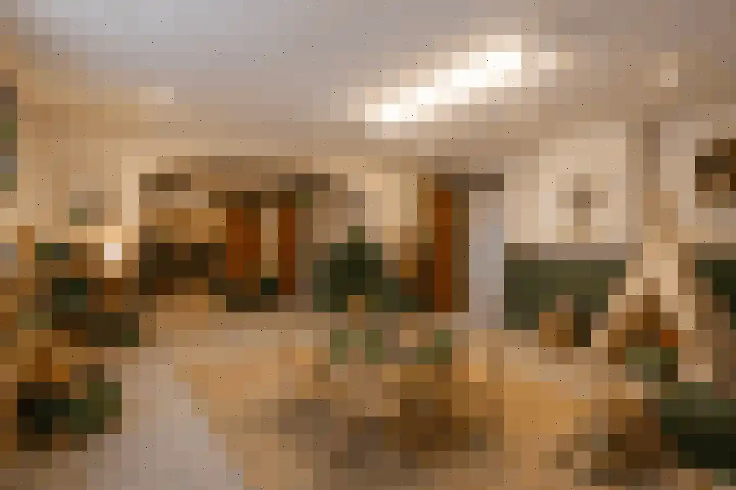 Berkenlaan 31 Barneveld thumbnail 64